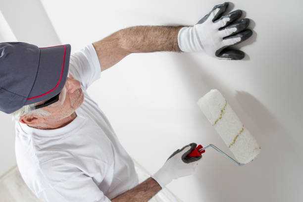 Best Mold Remediation for Healthcare Facilities  in Williams, AZ