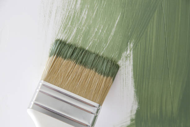 Best Basement Mold Removal  in Williams, AZ
