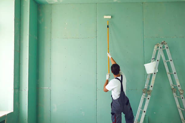 Best Black Mold Removal  in Williams, AZ