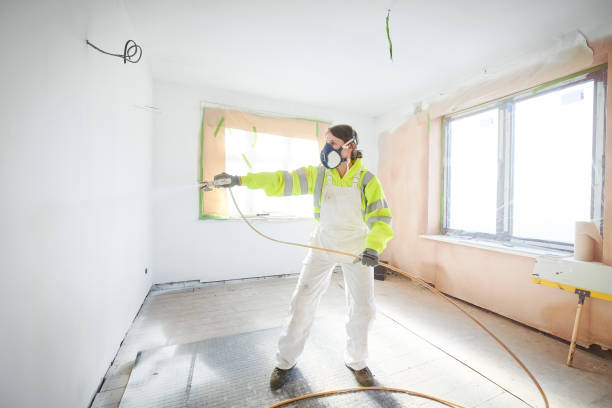 Best Mold Documentation for Insurance Claims  in Williams, AZ