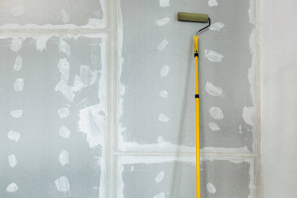 Best Asbestos and Lead Testing During Mold Inspection  in Williams, AZ