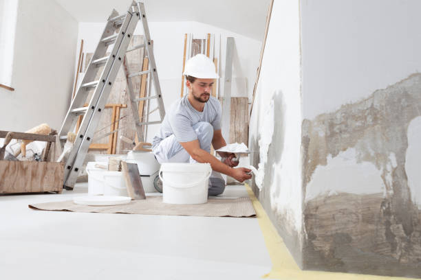 Best Comprehensive Air Testing for Mold Contaminants  in Williams, AZ