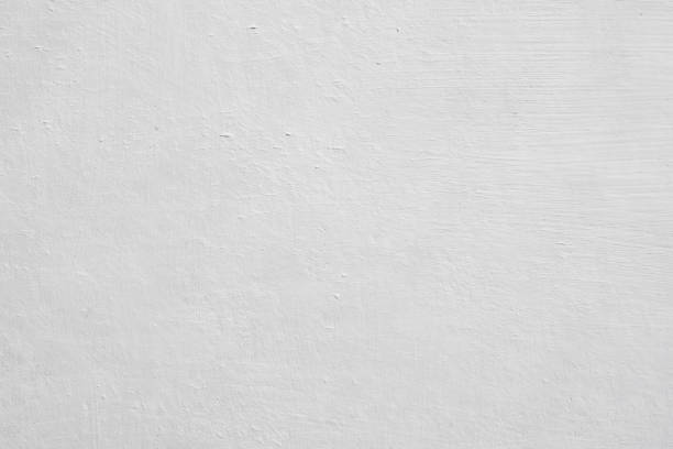 Best Mold Odor Removal Services  in Williams, AZ