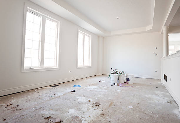 Best Attic Mold Removal  in Williams, AZ