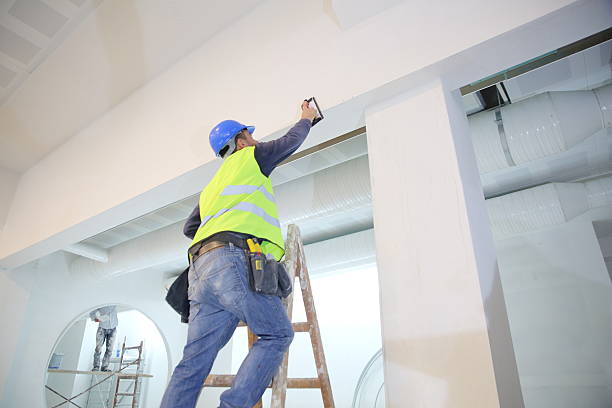 Best Mold Odor Removal Services  in Williams, AZ