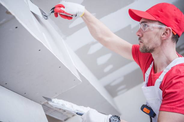 Best Residential Mold Inspection & Testing  in Williams, AZ